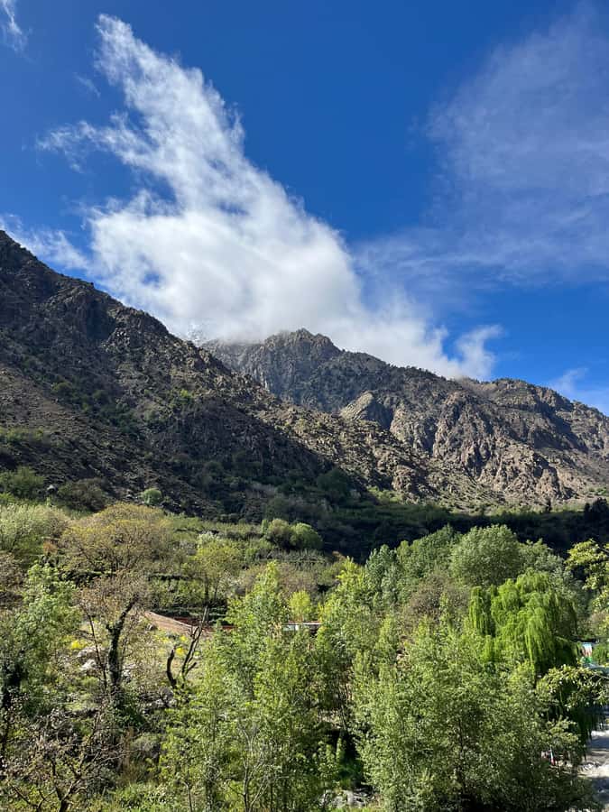 Marrakech: Ourika Valley Waterfalls Hike & Traditional Lunch - Who should book this Ourika Valley day trip?