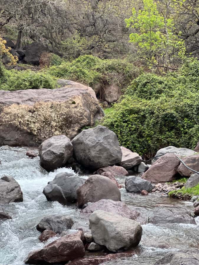 Marrakech: Ourika Valley Waterfalls Hike & Traditional Lunch - The ride back to Marrakech