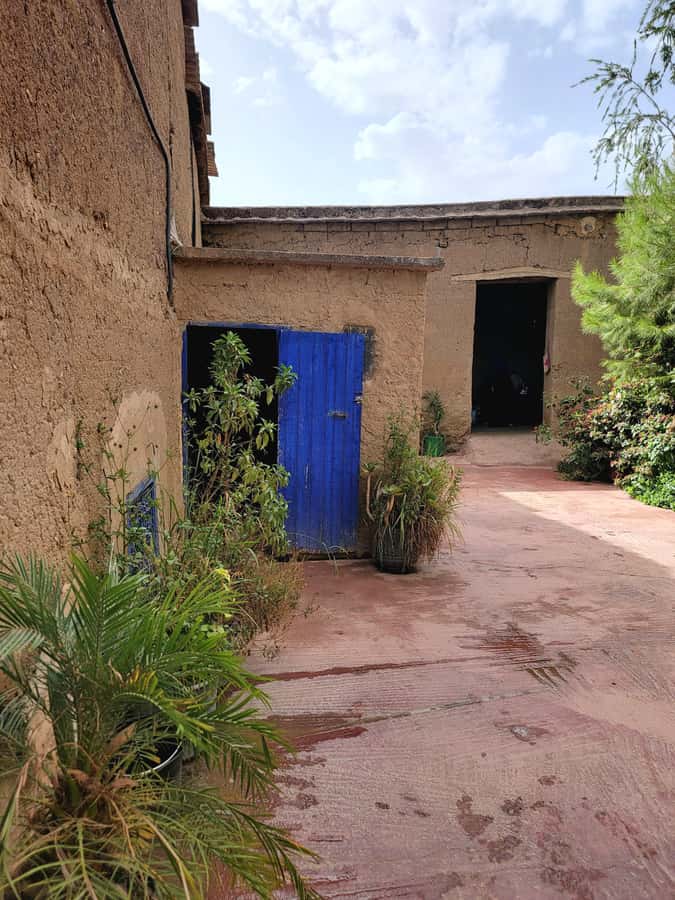 Marrakech: Ourika Valley, Waterfalls Private Trip with Lunch - Who will enjoy this trip most?