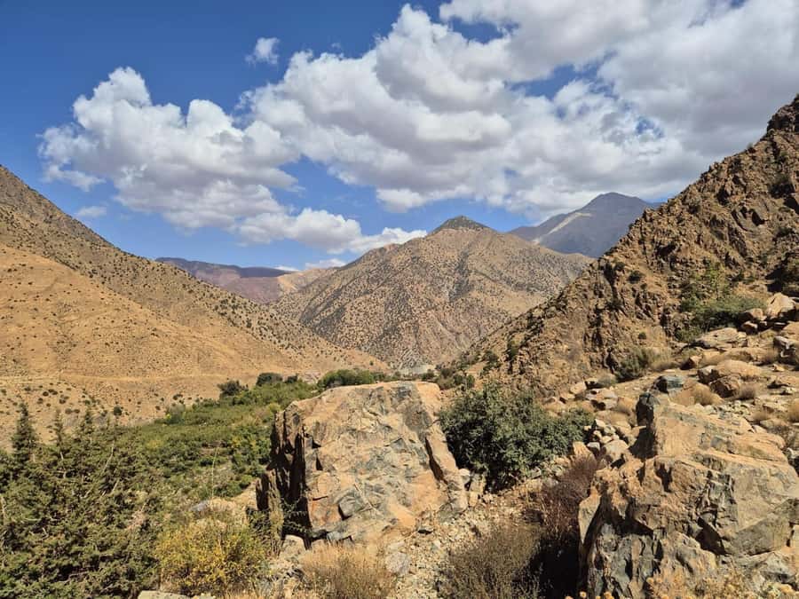 Marrakech: Ourika Valley, Waterfalls Private Trip with Lunch - The argan oil cooperative and the first cultural stop