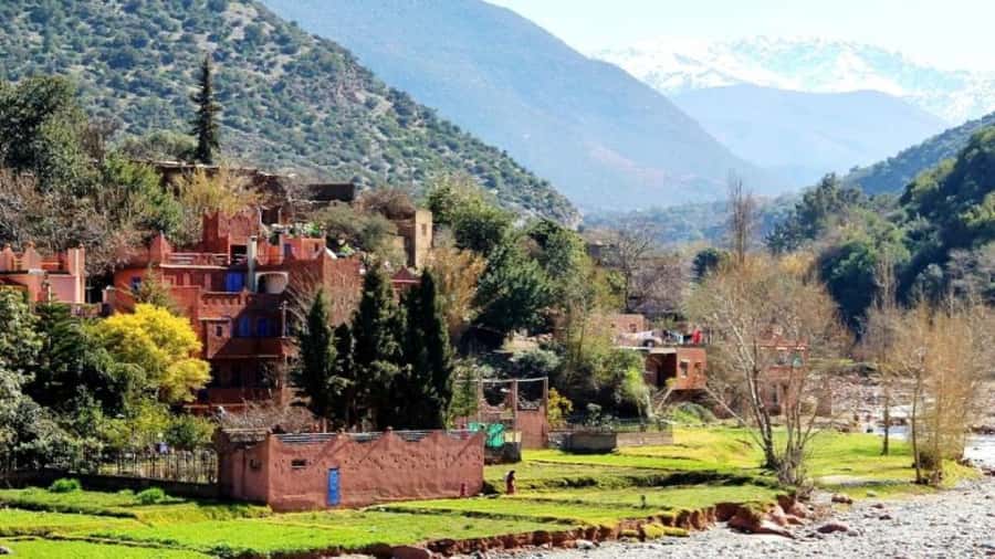 Marrakech: Ourika Valley waterfalls with guide& Berber lunch - Lunch by the River After the Hike