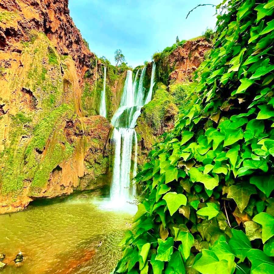 Marrakech: Ouzoud Waterfall, Guided Hike, Boat Ride & Lunch - The Boat Ride Beneath the Cascade