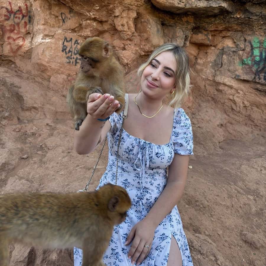 Marrakech: Ouzoud Waterfall, Guided Hike, Boat Ride & Lunch - Berber Lunch With a Waterfall View