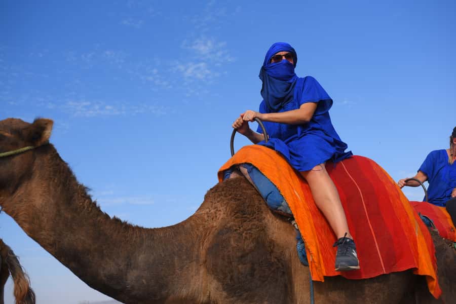 Marrakech: pack quad and camel ride in the palm grove - Key points to know before you book