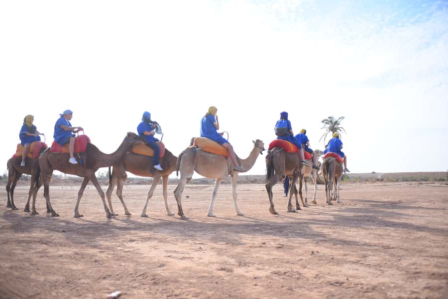 Marrakech: pack quad and camel ride in the palm grove - The palm grove photo stop