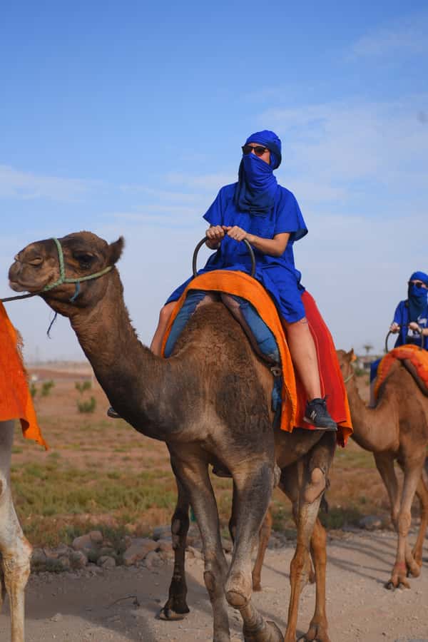 Marrakech: pack quad and camel ride in the palm grove - What $28 includes, and where the value lies