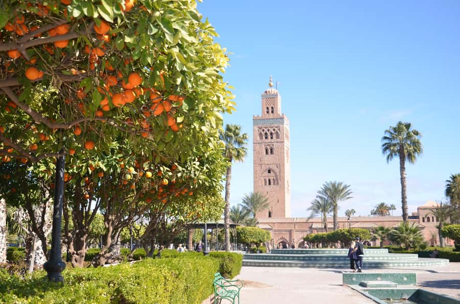 Marrakech: Palace, Museum, Madrasa & Medina Highlights Tour - Dar El Bacha Museum and a change of mood