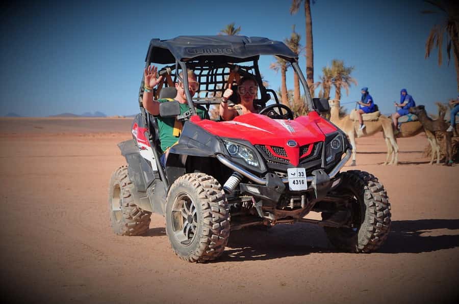 Marrakech: Palm Grove and Desert Buggy excursion - Price, sharing, and who gets good value