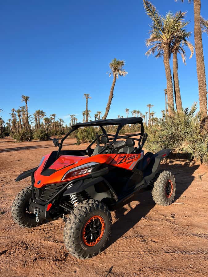 Marrakech : Palm Grove and jbilat Desert Buggy 1000cc Tour - Pickup from Jemaa el-Fna or your city-center riad