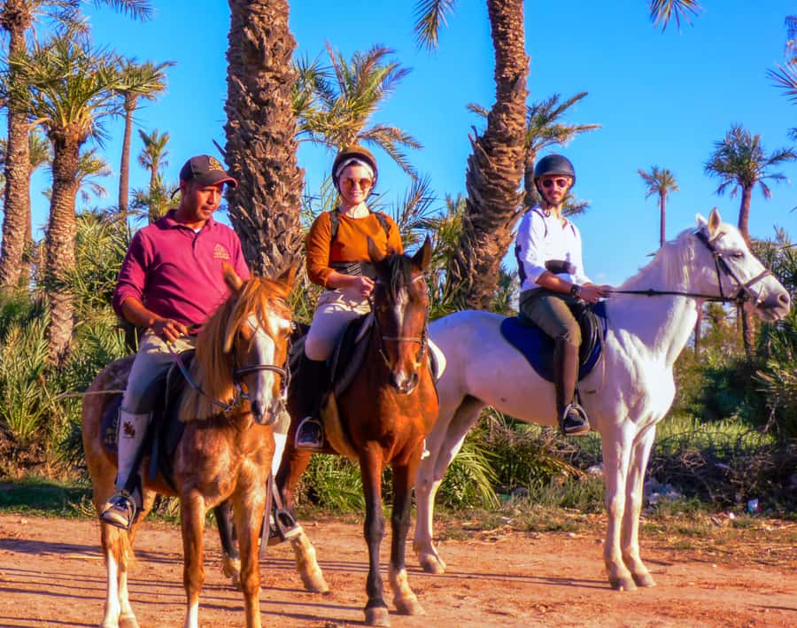 Marrakech: Palm Grove Horseback Riding Tour - What the ride feels like for different skill levels