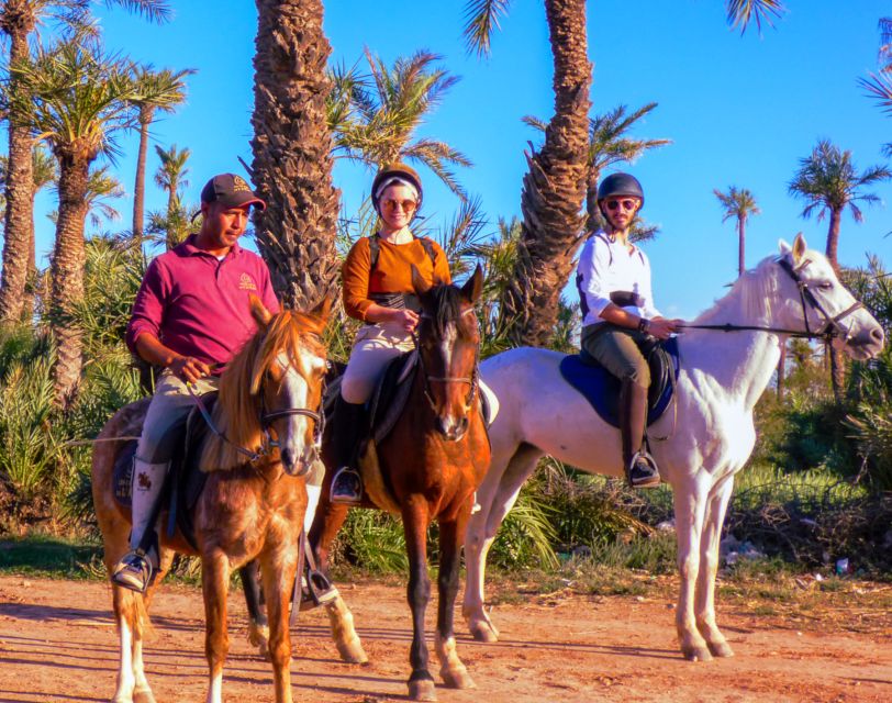 Marrakech: Palm Grove Horseback Riding Tour - Who should book this Marrakech horseback ride?
