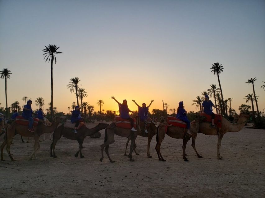 Marrakech palm grove: Sunset camel ride - Mint tea at a Berber home