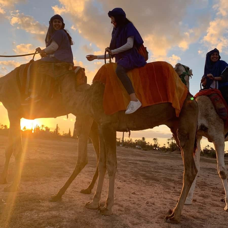 Marrakech palm grove: Sunset camel ride - What the $46 price really buys you