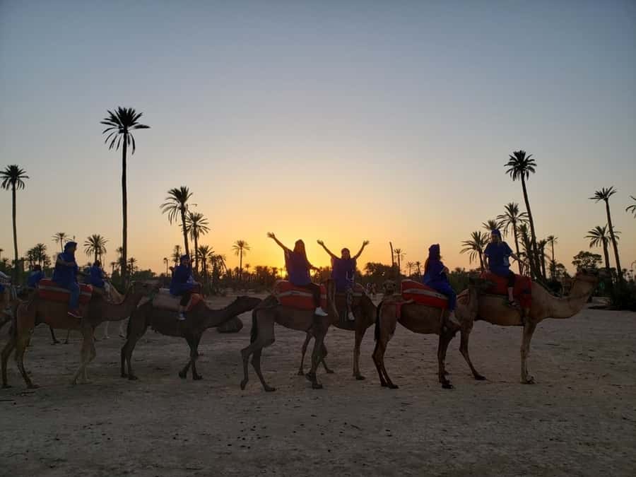 Marrakech palm grove: Sunset camel ride - Guides, photos, and the human side