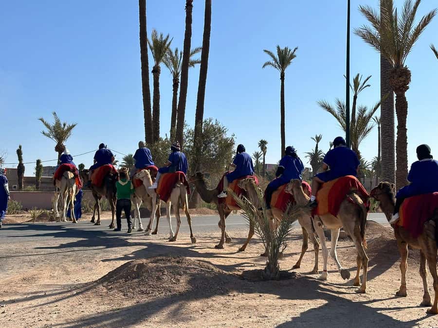 Marrakech Palmeraie Camel Ride Adventure - Leaving Marrakech by van