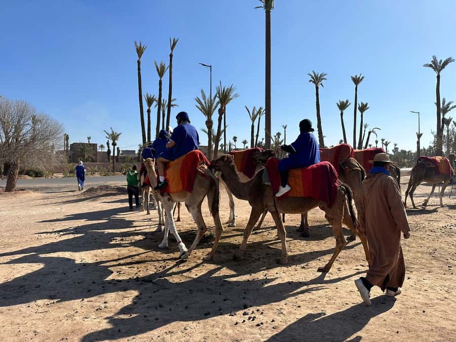 Marrakech Palmeraie Camel Ride Adventure - Riding through the Palmeraie