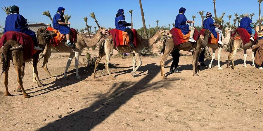Marrakech Palmeraie Camel Ride Adventure - Mint tea in a nearby village