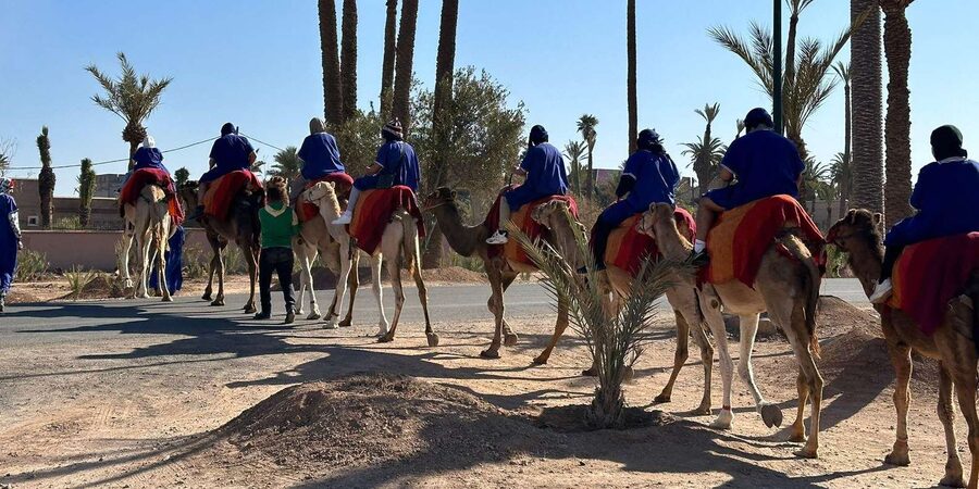 Marrakech Palmeraie Camel Ride Adventure - Is $26 a fair price?