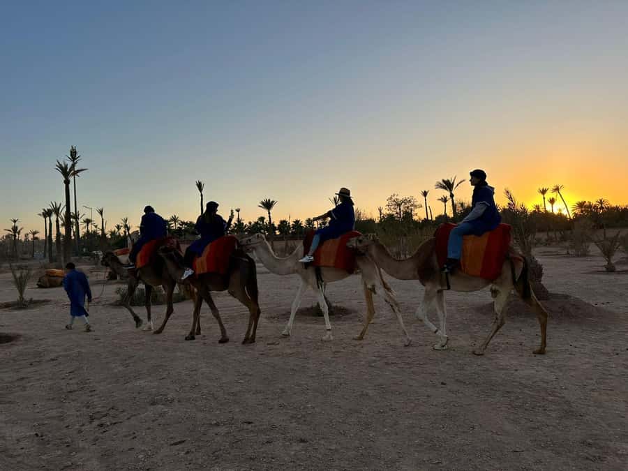 Marrakech Palmeraie Camel Ride Adventure - Getting dressed for the camel ride