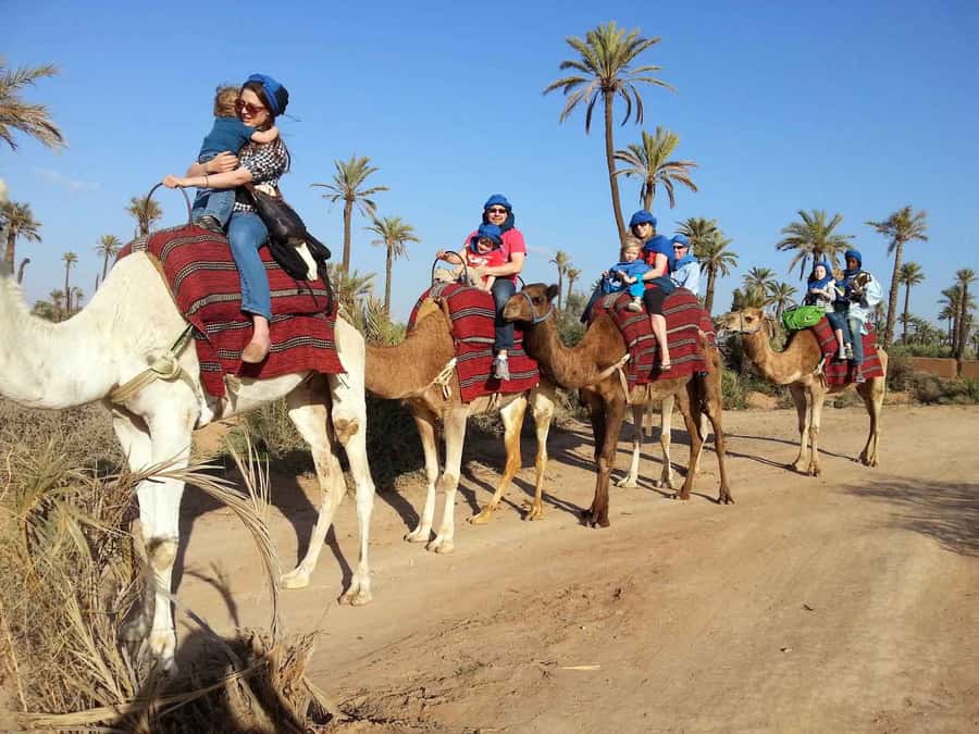 Marrakech Palmeraie: Camel Ride at Sunset - Getting dressed for the ride