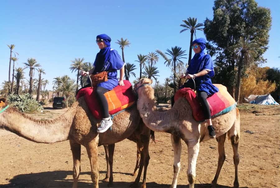 Marrakech Palmeraie: Camel Ride & Quad Bike Experience - Key points at a glance