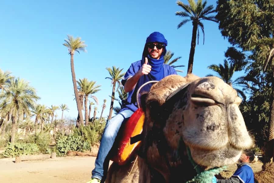 Marrakech Palmeraie: Camel Ride & Quad Bike Experience - Who will enjoy this outing most?