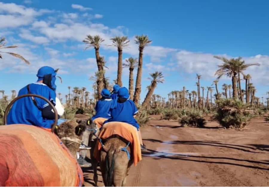 Marrakech: Palmeraie Camel Ride & Traditional Moroccan Spa - How much value do you get for $69?