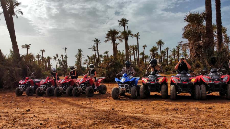 Marrakech: Palmeraie Guided Quad Biking Tour with Tea - Who should book this ride?
