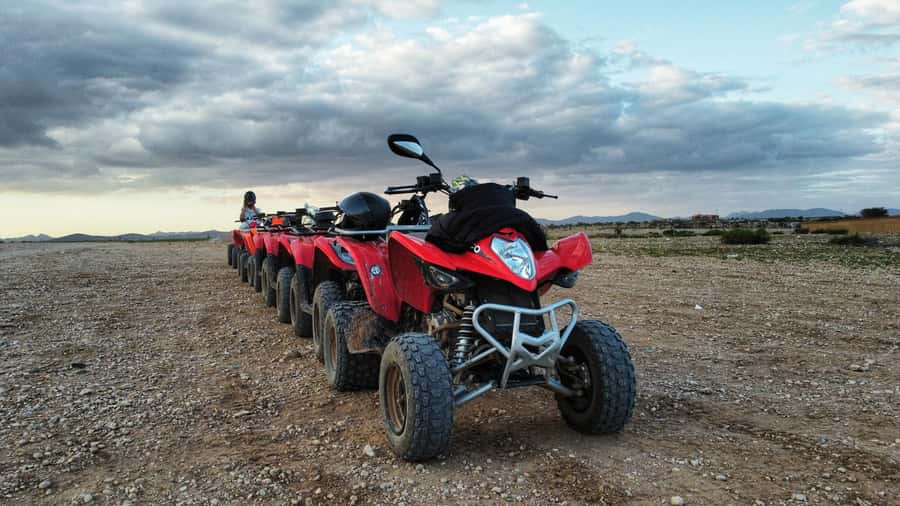 Marrakech: Palmeraie Guided Quad Biking Tour with Tea - Two hours through palms, dust, and open tracks