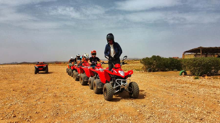 Marrakech: Palmeraie Guided Quad Biking Tour with Tea - The palm-tree photo stop