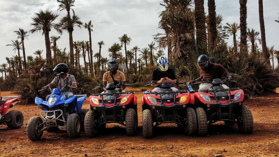 Marrakech: Palmeraie Guided Quad Biking Tour with Tea - Mint tea, bread, honey, and olives