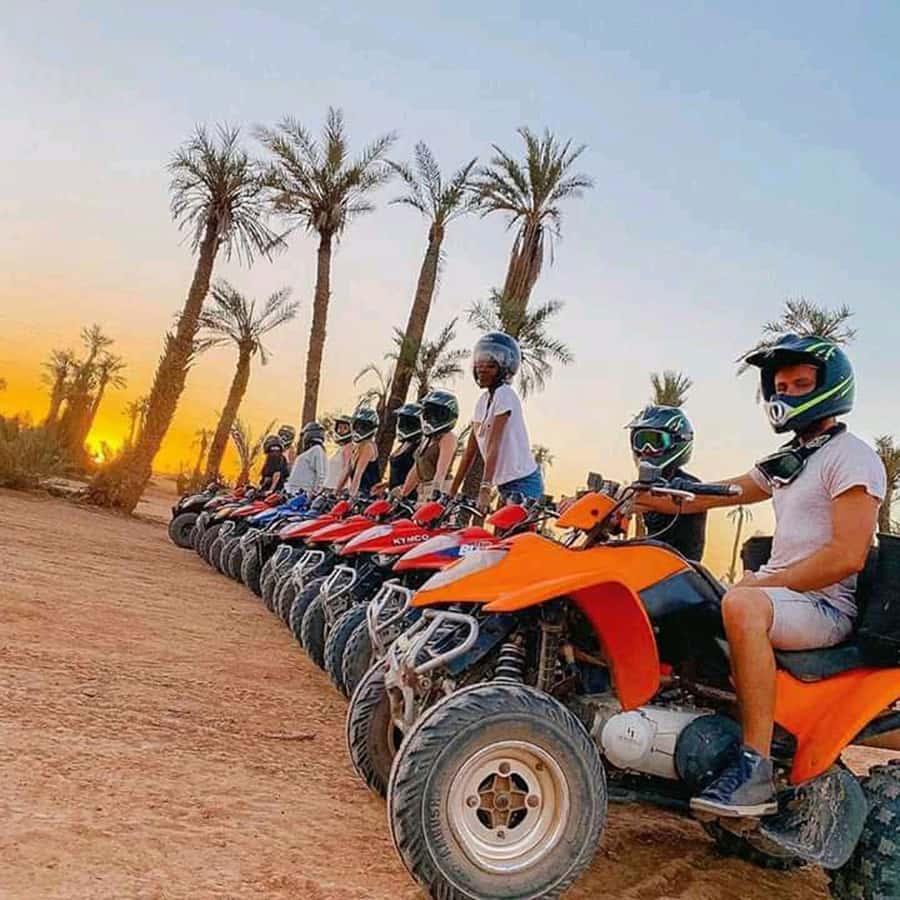 Marrakech: Palmeraie Private Quad Bike Experience - What kind of Marrakech outing is this?