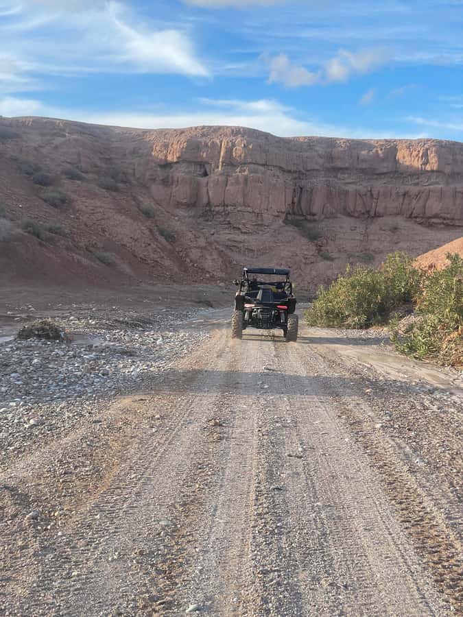 Marrakech: Private Buggy Adventure in Agafay Desert with Tea - Who will enjoy this buggy outing most