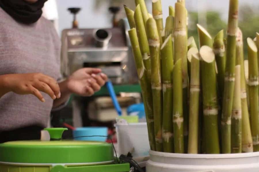 Marrakech: private Guided tour Of Vibrant Souks - The guides and the importance of consistency