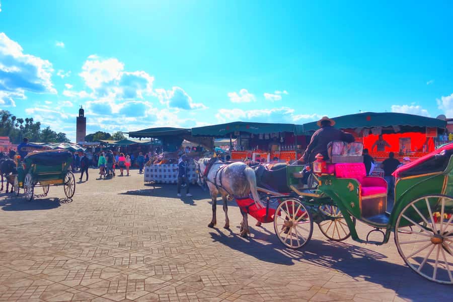 Marrakech: Private Half-Day City Highlights Tour - Bahia Palace and the details worth slowing down for