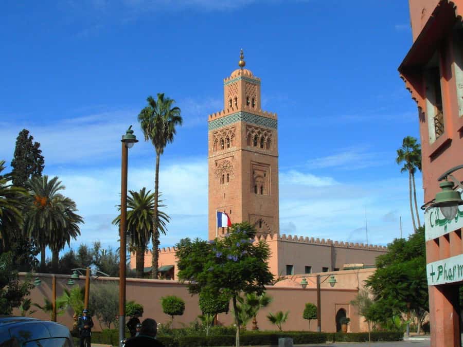 Marrakech: Private Half- or Full-Day Tour with Guide - Why a private Medina walk helps