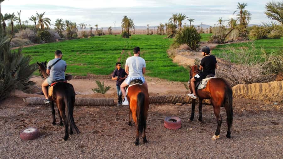 Marrakech: Private Horseback Tour in the Palm Grove with Tea - Leaving the medina for the Palmeraie
