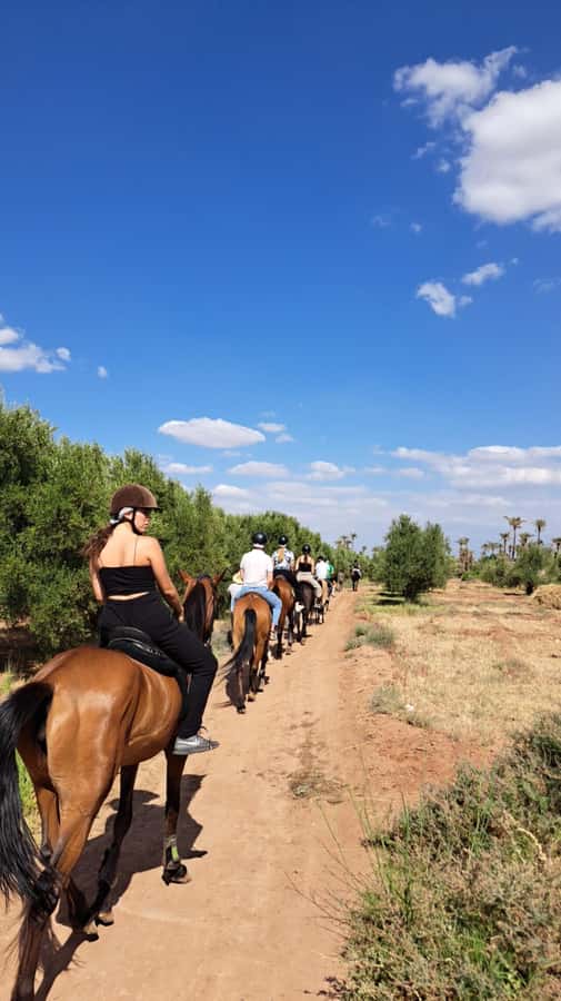 Marrakech: Private Horseback Tour in the Palm Grove with Tea - One hour through palms, olive trees, and open paths