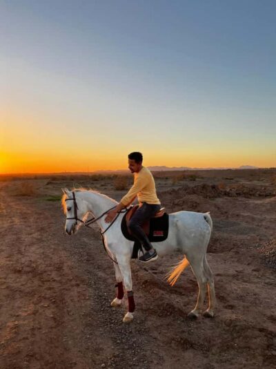 Private Horseback Tour in the Palm Grove with Tea