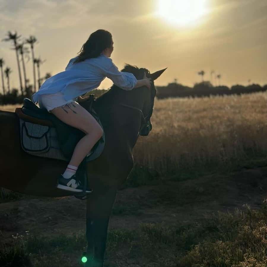 Marrakech: Private Horseback Tour in the Palm Grove with Tea - Why the horses matter