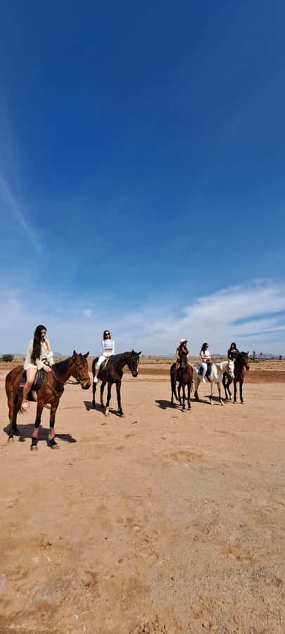 Marrakech: Private Horseback Tour in the Palm Grove with Tea - Families, couples, and mixed-ability groups