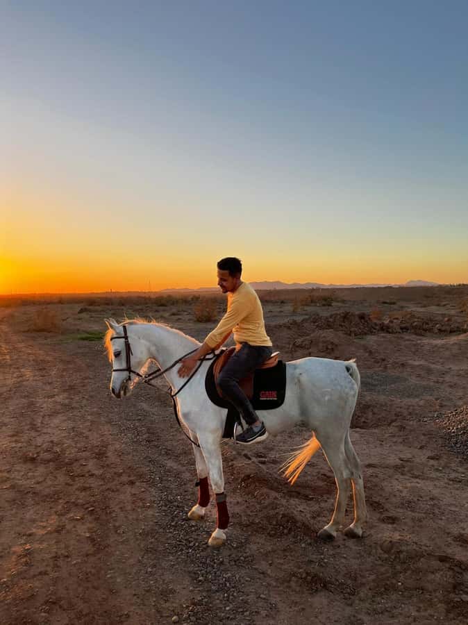 Marrakech: Private Horseback Tour in the Palm Grove with Tea - Meeting the horses and getting ready