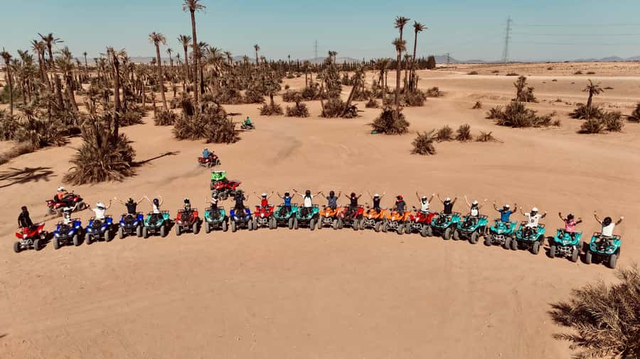 Marrakech: Quad activity in the Palmeraie with Tea break - Key points to know before you book