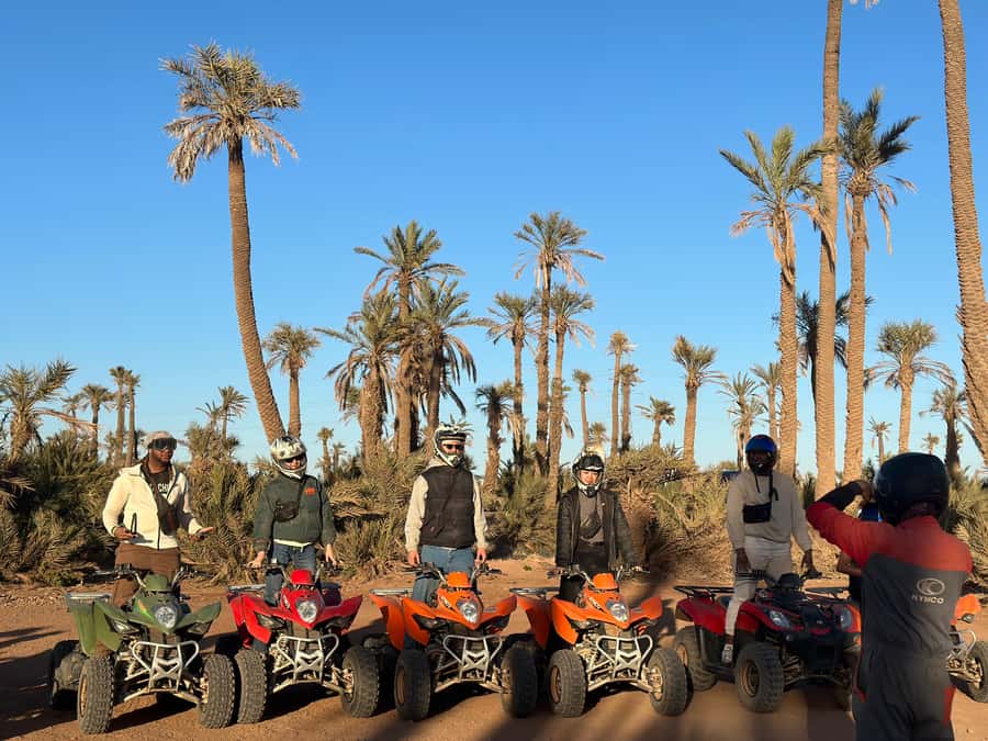 Marrakech: quad Adventure at the Dunes of the palmery desert - Key points to know before you book