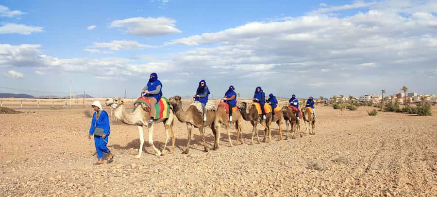 Marrakech: quad bike and Camel Ride in Marrakech - Key Points Before You Book