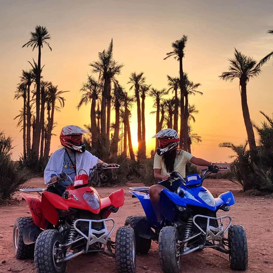 Marrakech: quad bike and Camel Ride in Marrakech - Two Very Different Rides in the Palmeraie