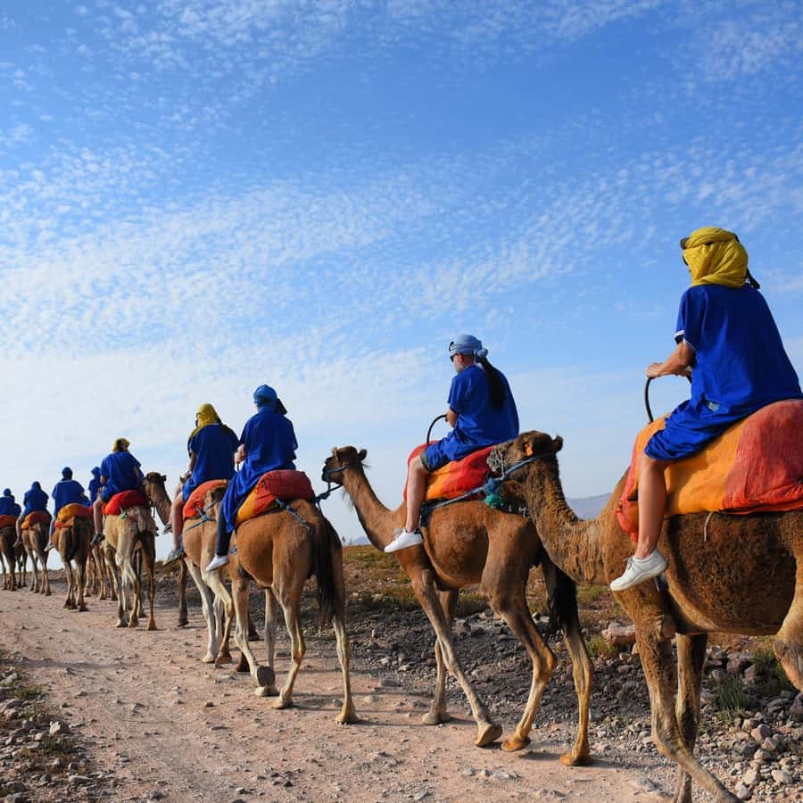 Marrakech: quad bike and Camel Ride in Marrakech - About Two Hours on the Quad