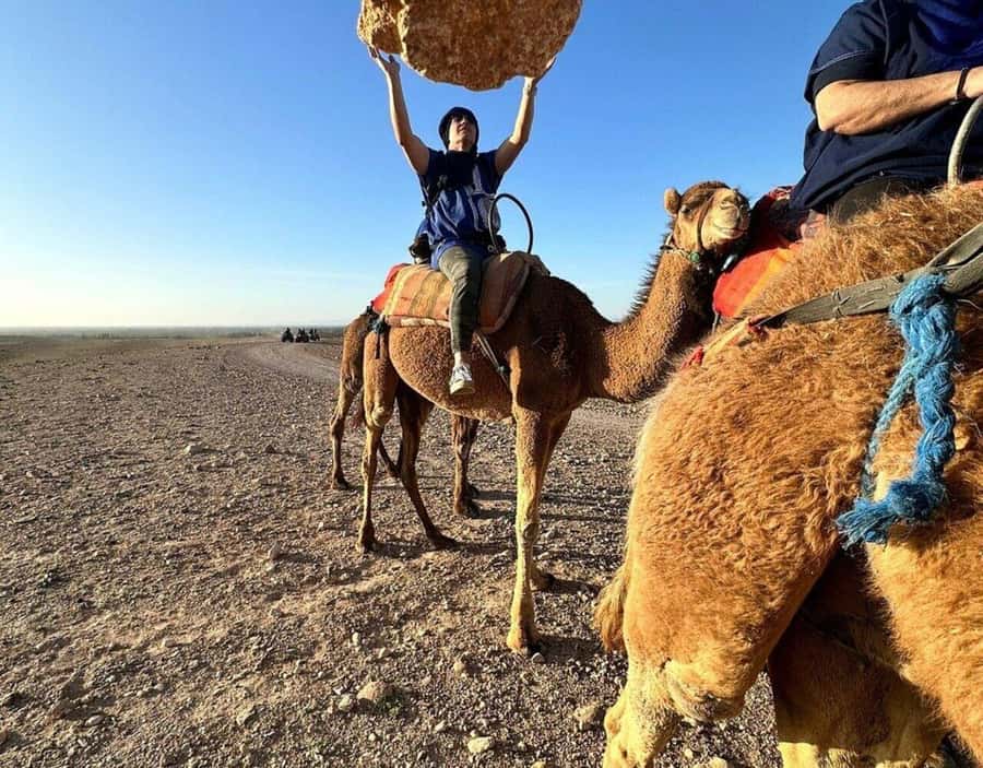 Marrakech : Quad Bike and Camel Ride with dinner in Agafay - Getting out of Marrakech by van