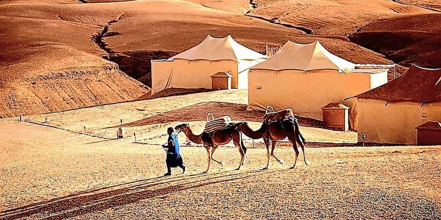 Marrakech : Quad Bike and Camel Ride with dinner in Agafay - Is $34 good value?