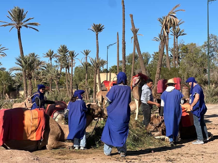 Marrakech: Quad Bike excursion at the sunset with Tea Break - Who should book this sunset ride?